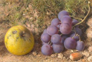 Apple, Grapes and a Cob-Nut by William Henry Hunt Oil Painting