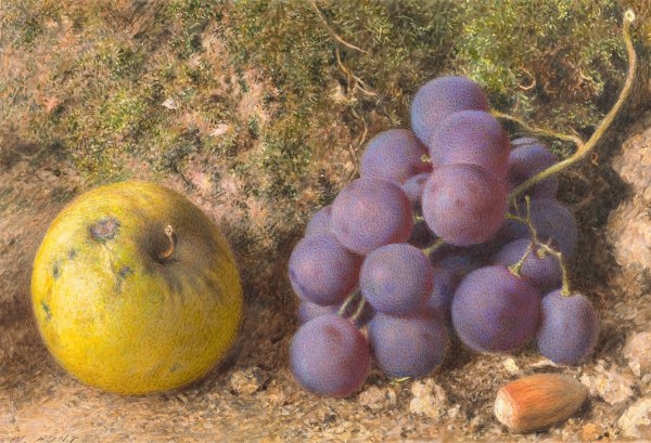 Main Product Photo of Apple, Grapes and a Cob-Nut  Painting by William Henry Hunt