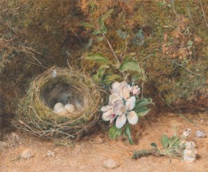Bird's Nest with Sprays of Apple Blossoms by William Henry Hunt Oil Painting