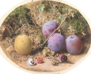 Plums and Mulberries by William Henry Hunt Oil Painting