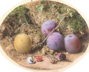 Plums and Mulberries by William Henry Hunt Oil Painting