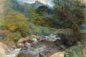 On the East Lyn, North Devon by William Henry Millais Oil Painting