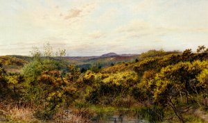 View of Crooksbury Hill, Surrey by William Henry Millais Oil Painting