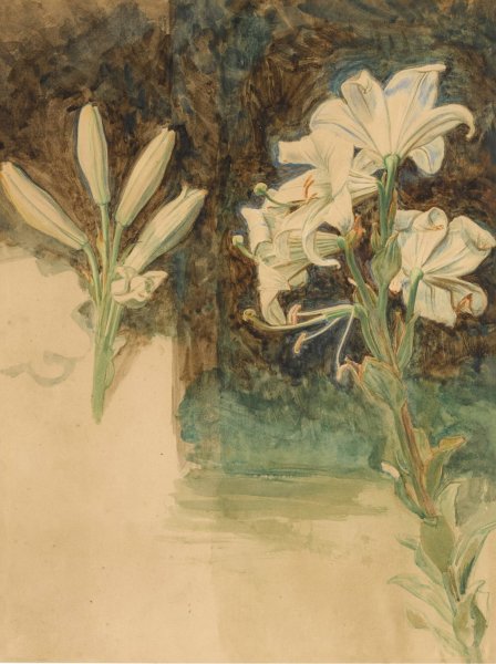 Main Product Photo of Study of Lilies for May Morning on Magdalen Tower Painting by William Holman Hunt