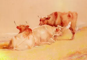 Cattle Resting 1 of 2 by William Huggins - Oil Painting Reproduction