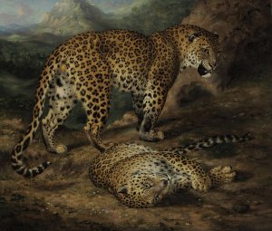 Two leopards by William Huggins Oil Painting