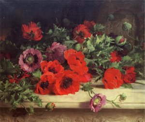 Poppies by William Jabez Muckley Oil Painting