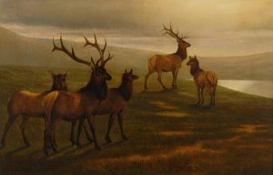 American Elk by William Jacob Hays Sr. Oil Painting