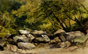 A Rocky Stream, Lyndale, Devon Oil painting by William James Muller