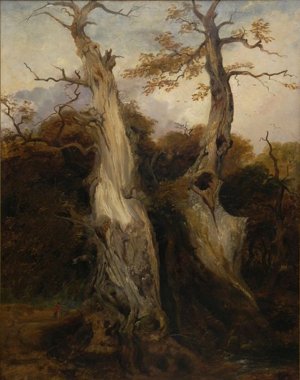 From Nature - Lynmouth by William James Muller Oil Painting