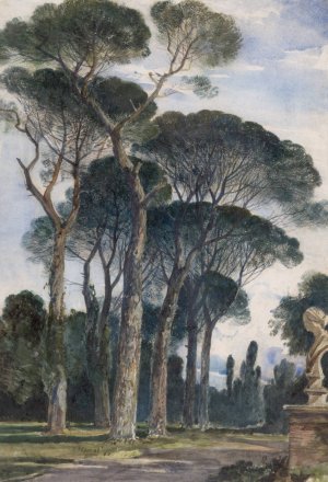 Umbrella Pines in the Villa Borghese, Rome by William James Muller Oil Painting