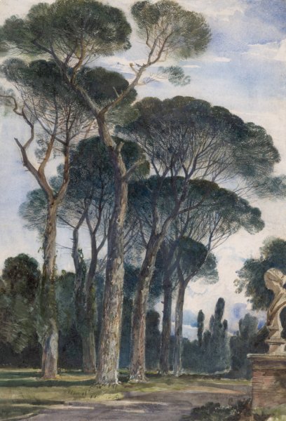 Main Product Photo of Umbrella Pines in the Villa Borghese, Rome  Painting by William James Muller