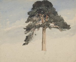 Scottish Pine Tree by William Leighton Leitch Oil Painting