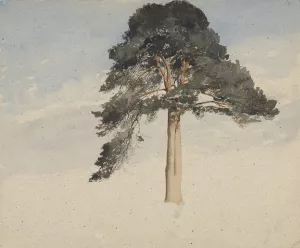 Scottish Pine Tree by William Leighton Leitch Oil Painting