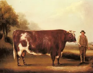 A Dark Roan Bull by William M. Davis - Oil Painting Reproduction