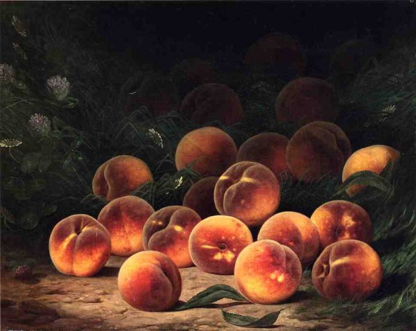 Main Product Photo of Bounty of Peaches Painting by William Mason Brown