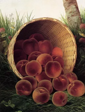 Peaches in an Upturned Basket by William Mason Brown - Oil Painting Reproduction