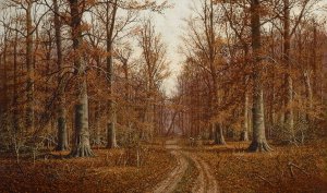 Beech Trees by William Mckendree Snyder Oil Painting