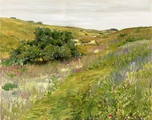 Landscape, Shinnecock Hills by William Merritt Chase - Oil Painting Reproduction