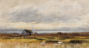 Bog Scene by William Percy French Oil Painting