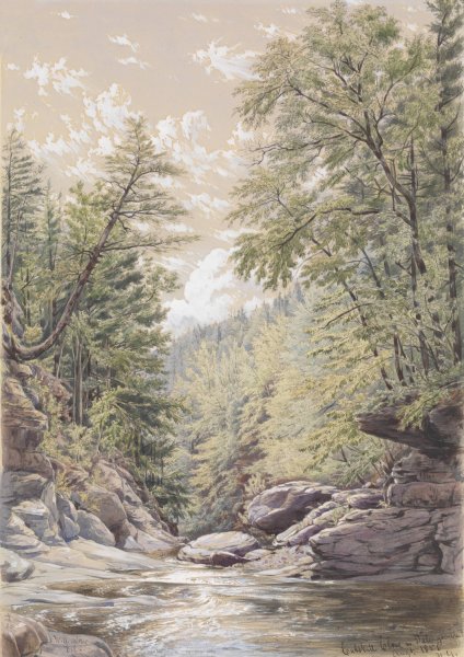 Catskill Clove in Palingsville  by William Rickarby Miller - Hand-Painted Oil Painting Reproduction