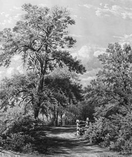 Main Product Photo of The Grandmother Tree, Near Middletown, Long Island Painting by William Rickarby Miller