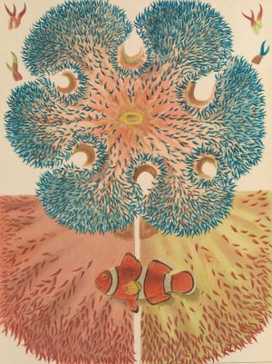 Barrier Reef Anemones by William Saville-Kent Oil Painting