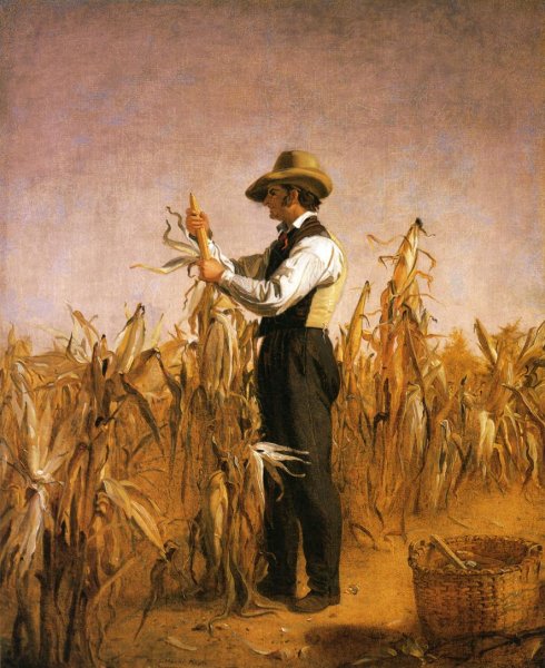 Main Product Photo of Long Island Farmer Husking Corn Painting by William Sidney Mount