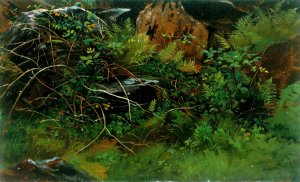 Study from Nature by William Stanley Haseltine Oil Painting