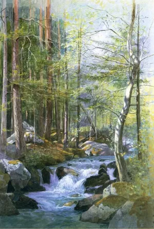 Torrent in Wood behind Mill Dam, Vahrn near Brixen, Tyrol by William Stanley Haseltine Oil Painting