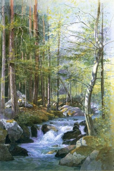 Torrent in Wood behind Mill Dam, Vahrn near Brixen, Tyrol by William Stanley Haseltine - Hand-Painted Oil Painting Reproduction