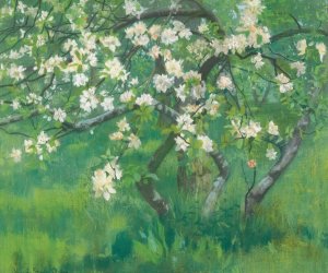 Apple Tree In Blossom by William Stott Of Oldham Oil Painting