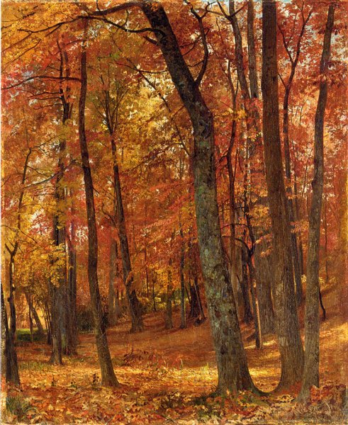 Main Product Photo of A Forest Interior Painting by William Trost Richards