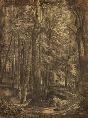 In The Woods by William Trost Richards Oil Painting