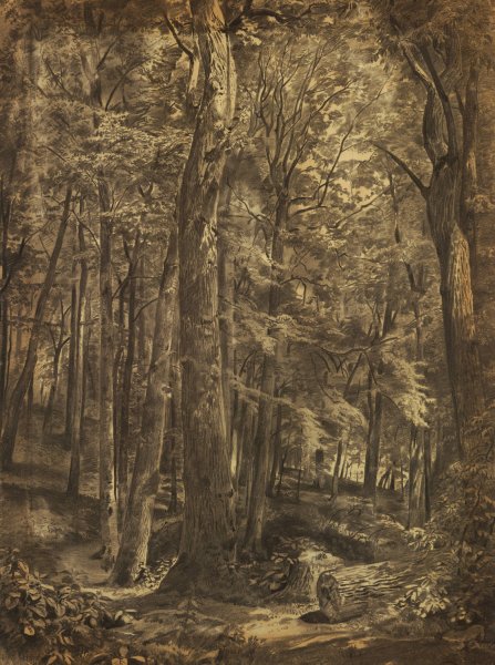 Main Product Photo of In The Woods  Painting by William Trost Richards