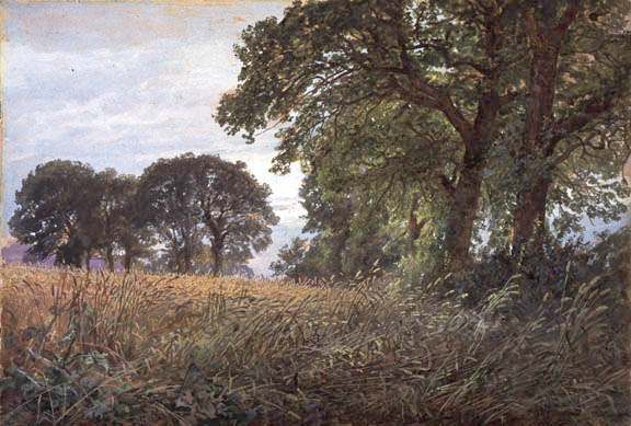 Main Product Photo of Tennysons Farm, Farmington, Isle of Wight Painting by William Trost Richards