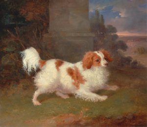 A Blenheim Spaniel by William Webb Oil Painting