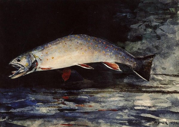 Main Product Photo of A Brook Trout Painting by Winslow Homer