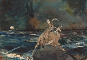 A Good Shot, Adirondacks by Winslow Homer Oil Painting