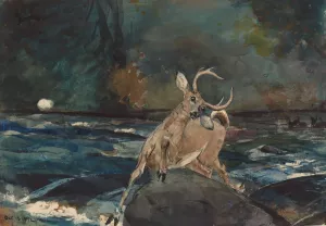 A Good Shot, Adirondacks by Winslow Homer Oil Painting