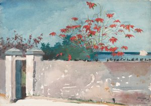 A Wall, Nassau by Winslow Homer Oil Painting