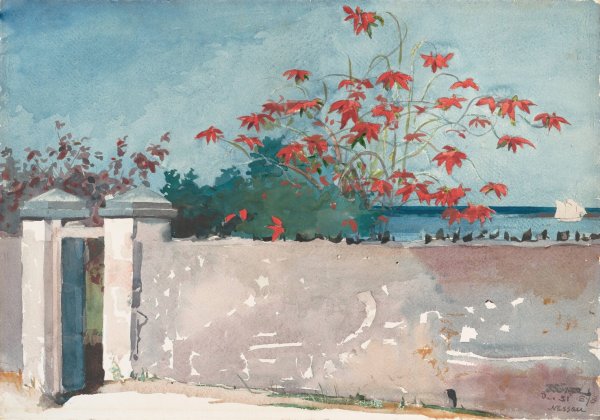 Main Product Photo of A Wall, Nassau  Painting by Winslow Homer