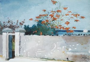 A Wall, Nassau by Winslow Homer Oil Painting