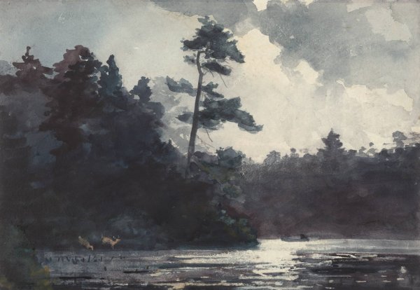 Main Product Photo of Adirondack Lake  Painting by Winslow Homer