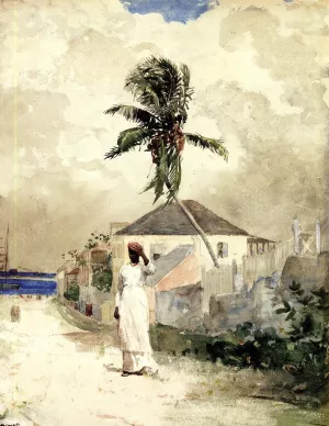 Along the Road, Bahamas Oil painting by Winslow Homer
