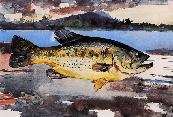 Main Product Photo of Bass Painting by Winslow Homer