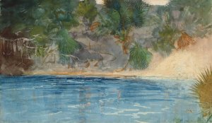 Blue Spring, Florida by Winslow Homer Oil Painting