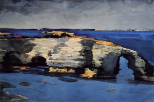 Coral Formation Oil painting by Winslow Homer