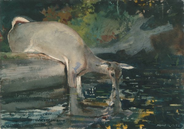 Deer Drinking  by Winslow Homer - Hand-Painted Oil Painting Reproduction