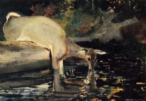 Deer Drinking by Winslow Homer Oil Painting